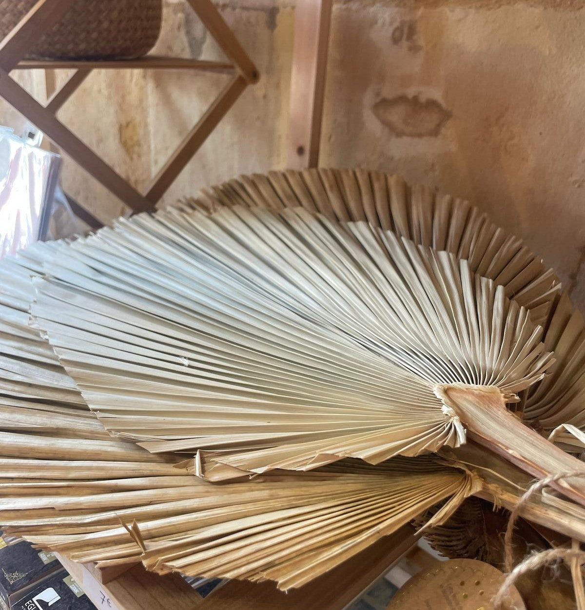 Feuille de Palmier